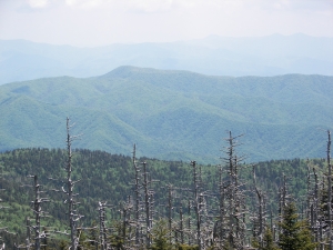 View from Clingman's Dome, Great Smoky Mtn National Park